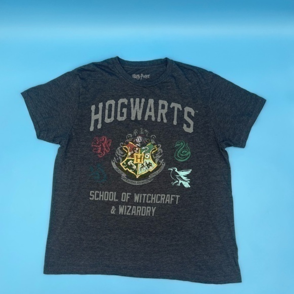 Harry Potter School Of Witchcraft & Wizarory T-Shirt